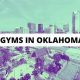 Best OKC MMA Gyms: Top Training Centers | Ultimate Guide to MMA: Training, Techniques, and Top Fighters in The World