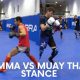 Ultimate MMA Stance Guide for Fighters | Ultimate Guide to MMA: Training, Techniques, and Top Fighters in The World