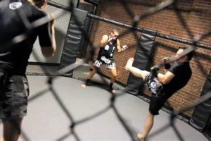 Best MMA Training Gyms in the Bronx, NY Ultimate Guide to MMA: Training, Techniques, and Top Fighters in The World Best MMA Training Gyms in the Bronx, NY | Ultimate Guide to MMA: Training, Techniques, and Top Fighters in The World