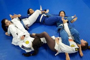 Train Like a Warrior: Battleborn MMA Training | Ultimate Guide to MMA: Training, Techniques, and Top Fighters in The World