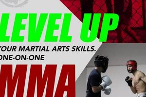 Best MMA Training in Cleveland, Ohio: Gyms & More Ultimate Guide to MMA: Training, Techniques, and Top Fighters in The World Best MMA Training in Cleveland, Ohio: Gyms & More | Ultimate Guide to MMA: Training, Techniques, and Top Fighters in The World