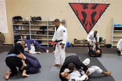 Best Phoenix BJJ & MMA Academy | Top Training Ultimate Guide to MMA: Training, Techniques, and Top Fighters in The World Best Phoenix BJJ & MMA Academy | Top Training | Ultimate Guide to MMA: Training, Techniques, and Top Fighters in The World