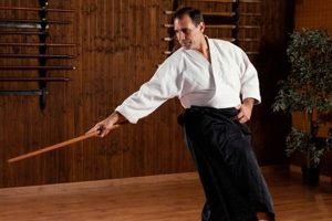 Jo Sun Mma | Ultimate Guide to MMA: Training, Techniques, and Top Fighters in The World