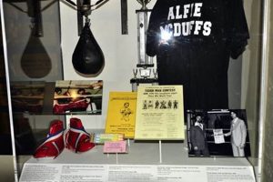 Mma Museum Ultimate Guide to MMA: Training, Techniques, and Top Fighters in The World Mma Museum | Ultimate Guide to MMA: Training, Techniques, and Top Fighters in The World