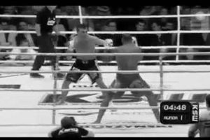 Tragedy in the MMA Ring: Understanding In-Ring Deaths Ultimate Guide to MMA: Training, Techniques, and Top Fighters in The World Tragedy in the MMA Ring: Understanding In-Ring Deaths | Ultimate Guide to MMA: Training, Techniques, and Top Fighters in The World