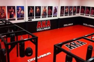Ultimate AKA MMA & Fitness Training Guide | Ultimate Guide to MMA: Training, Techniques, and Top Fighters in The World