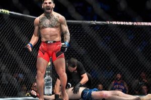Complete MMA Record: Fighter Stats & History Ultimate Guide to MMA: Training, Techniques, and Top Fighters in The World Complete MMA Record: Fighter Stats & History | Ultimate Guide to MMA: Training, Techniques, and Top Fighters in The World