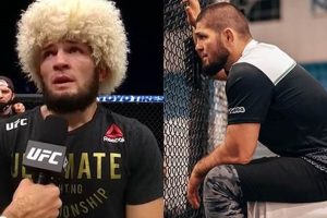 The Real Reason Khabib Retired: A Legacy Defined Ultimate Guide to MMA: Training, Techniques, and Top Fighters in The World The Real Reason Khabib Retired: A Legacy Defined | Ultimate Guide to MMA: Training, Techniques, and Top Fighters in The World