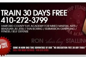 Topflight MMA Training & Fight Analysis | Ultimate Guide to MMA: Training, Techniques, and Top Fighters in The World