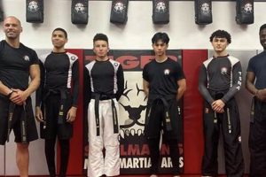 Tiger Schulmann's Mma Ultimate Guide to MMA: Training, Techniques, and Top Fighters in The World Tiger Schulmann's Mma | Ultimate Guide to MMA: Training, Techniques, and Top Fighters in The World
