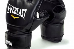 Best Everlast MMA Grappling Gloves for 2024 Ultimate Guide to MMA: Training, Techniques, and Top Fighters in The World Best Everlast MMA Grappling Gloves for 2024 | Ultimate Guide to MMA: Training, Techniques, and Top Fighters in The World