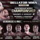 Olympic MMA Paris 2024: Debut & Legacy | Ultimate Guide to MMA: Training, Techniques, and Top Fighters in The World