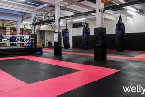 Ultimate Guide to MMA Gym Costs & Pricing | Ultimate Guide to MMA: Training, Techniques, and Top Fighters in The World