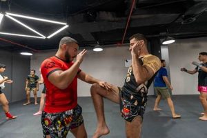 Best Dubai MMA Gyms: Top Training Centers Ultimate Guide to MMA: Training, Techniques, and Top Fighters in The World Best Dubai MMA Gyms: Top Training Centers | Ultimate Guide to MMA: Training, Techniques, and Top Fighters in The World