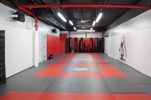 Top MMA Schools & Gyms in The Bronx | Ultimate Guide to MMA: Training, Techniques, and Top Fighters in The World