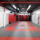Top MMA Schools & Gyms in The Bronx | Ultimate Guide to MMA: Training, Techniques, and Top Fighters in The World