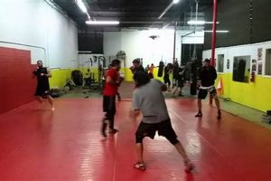 Best MMA Classes & Gyms in Fort Worth, TX Ultimate Guide to MMA: Training, Techniques, and Top Fighters in The World Best MMA Classes & Gyms in Fort Worth, TX | Ultimate Guide to MMA: Training, Techniques, and Top Fighters in The World