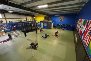 Best MMA Gyms & Training in Bellingham, WA | Ultimate Guide to MMA: Training, Techniques, and Top Fighters in The World