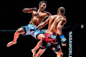 Ultimate Guide to MMA Mixed Martial Arts Training Ultimate Guide to MMA: Training, Techniques, and Top Fighters in The World Ultimate Guide to MMA Mixed Martial Arts Training | Ultimate Guide to MMA: Training, Techniques, and Top Fighters in The World