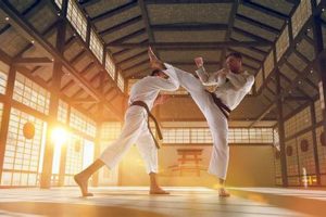 Best Karate for MMA: Training & Techniques | Ultimate Guide to MMA: Training, Techniques, and Top Fighters in The World
