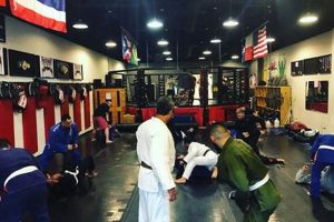 Best MMA Training in San Antonio: Top Gyms | Ultimate Guide to MMA: Training, Techniques, and Top Fighters in The World