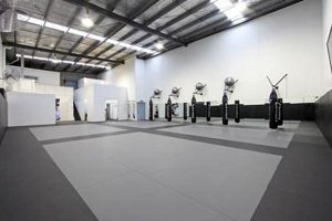 Top Bay Area MMA Schools: Find Your Gym | Ultimate Guide to MMA: Training, Techniques, and Top Fighters in The World
