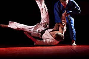 Who Was An Mma Champ With A Judo Background | Ultimate Guide to MMA: Training, Techniques, and Top Fighters in The World