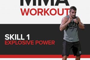 Top 5 Good MMA Workouts for Beginners & Pros Ultimate Guide to MMA: Training, Techniques, and Top Fighters in The World Top 5 Good MMA Workouts for Beginners & Pros | Ultimate Guide to MMA: Training, Techniques, and Top Fighters in The World
