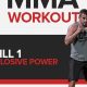 Top 5 Good MMA Workouts for Beginners & Pros | Ultimate Guide to MMA: Training, Techniques, and Top Fighters in The World