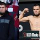 Are Umar and Khabib Brothers? UFC Cousins Explained | Ultimate Guide to MMA: Training, Techniques, and Top Fighters in The World
