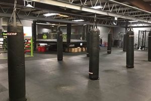 Top MMA Gyms in Albuquerque, NM Ultimate Guide to MMA: Training, Techniques, and Top Fighters in The World Top MMA Gyms in Albuquerque, NM | Ultimate Guide to MMA: Training, Techniques, and Top Fighters in The World