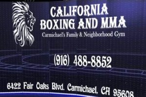 Best MMA Gyms & Training in Sacramento, CA Ultimate Guide to MMA: Training, Techniques, and Top Fighters in The World Best MMA Gyms & Training in Sacramento, CA | Ultimate Guide to MMA: Training, Techniques, and Top Fighters in The World