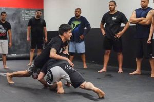 Top Local MMA Gyms: Find Your Fight Community Ultimate Guide to MMA: Training, Techniques, and Top Fighters in The World Top Local MMA Gyms: Find Your Fight Community | Ultimate Guide to MMA: Training, Techniques, and Top Fighters in The World