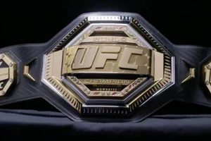 Ultimate MMA Championship Belt Guide Ultimate Guide to MMA: Training, Techniques, and Top Fighters in The World Ultimate MMA Championship Belt Guide | Ultimate Guide to MMA: Training, Techniques, and Top Fighters in The World