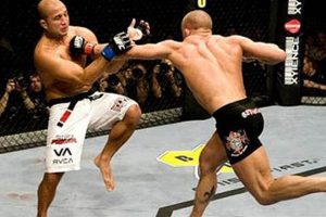 The Ultimate MMA Wiki: Your Fight Guide Ultimate Guide to MMA: Training, Techniques, and Top Fighters in The World The Ultimate MMA Wiki: Your Fight Guide | Ultimate Guide to MMA: Training, Techniques, and Top Fighters in The World