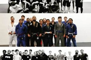 The Mastermind MMA Academy: Train to Win | Ultimate Guide to MMA: Training, Techniques, and Top Fighters in The World