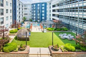 Mma Apartment | Ultimate Guide to MMA: Training, Techniques, and Top Fighters in The World