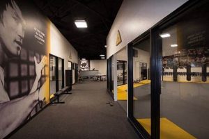 Top MMA Labs: Enhance Your Fight Game | Ultimate Guide to MMA: Training, Techniques, and Top Fighters in The World