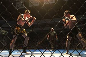 A Beginner's Guide to Amateur MMA Fighting | Ultimate Guide to MMA: Training, Techniques, and Top Fighters in The World
