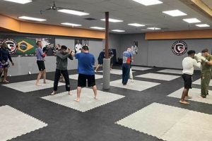 Top MMA Gyms & Training in Metairie | Ultimate Guide to MMA: Training, Techniques, and Top Fighters in The World