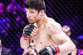 Ultimate Baki MMA Fighter Guide Ultimate Guide to MMA: Training, Techniques, and Top Fighters in The World Ultimate Baki MMA Fighter Guide | Ultimate Guide to MMA: Training, Techniques, and Top Fighters in The World