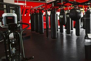 Best MMA Gyms & Training in Miami, FL | Ultimate Guide to MMA: Training, Techniques, and Top Fighters in The World