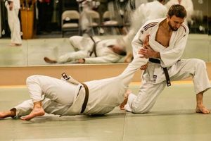 Top World Class MMA & Judo Techniques | Ultimate Guide to MMA: Training, Techniques, and Top Fighters in The World
