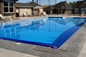 Best MMA Private HOA Pools & Amenities Ultimate Guide to MMA: Training, Techniques, and Top Fighters in The World Best MMA Private HOA Pools & Amenities | Ultimate Guide to MMA: Training, Techniques, and Top Fighters in The World