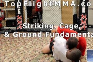 Ultimate Top Flight MMA Training Guide | Ultimate Guide to MMA: Training, Techniques, and Top Fighters in The World