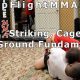 Ultimate Top Flight MMA Training Guide | Ultimate Guide to MMA: Training, Techniques, and Top Fighters in The World