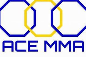 Become an Ace: MMA & Fitness Training Ultimate Guide to MMA: Training, Techniques, and Top Fighters in The World Become an Ace: MMA & Fitness Training | Ultimate Guide to MMA: Training, Techniques, and Top Fighters in The World