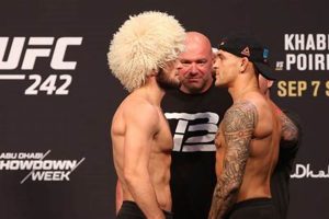 Khabib Vs Dustin | Ultimate Guide to MMA: Training, Techniques, and Top Fighters in The World