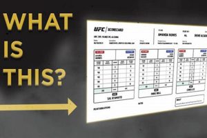 Understanding MMA Scoring Criteria and System | Ultimate Guide to MMA: Training, Techniques, and Top Fighters in The World