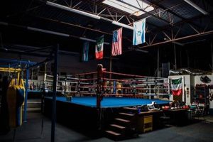 Best MMA Gyms & Training in Arlington, TX Ultimate Guide to MMA: Training, Techniques, and Top Fighters in The World Best MMA Gyms & Training in Arlington, TX | Ultimate Guide to MMA: Training, Techniques, and Top Fighters in The World